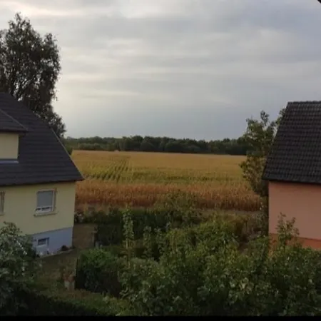 Gite La Foret Ungersheim Exterior foto